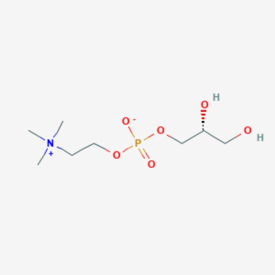 CAS 28319-77-9 Choline Glycerophosphate , Alpha GPC（Choline Alfoscerate）