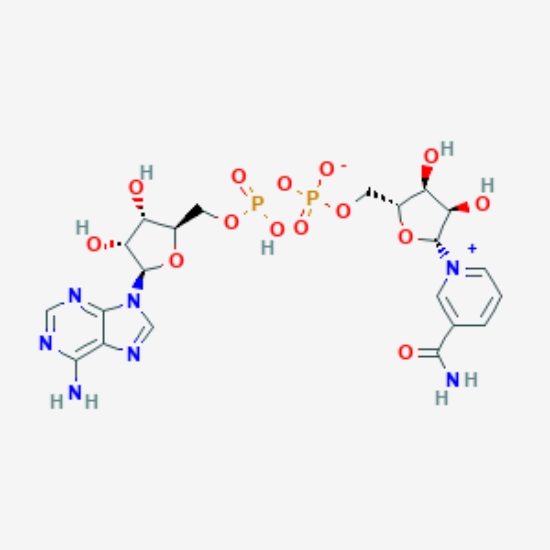 C A S : 53-84-9  Nadide , NAD+ , Coenzyme I , Beta-NAD