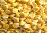 Freeze dried sweet corn