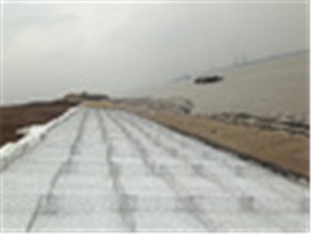 SNS Flexible System for Protecting Slope