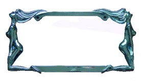 License Plate Frame