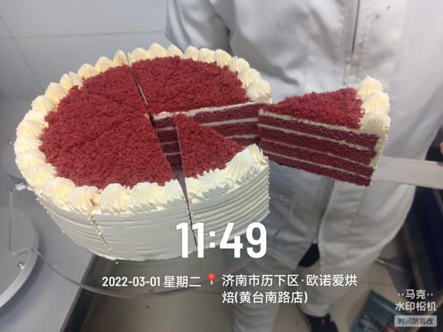 Cheesecake Slicing Machine Automatic Cake Cutter