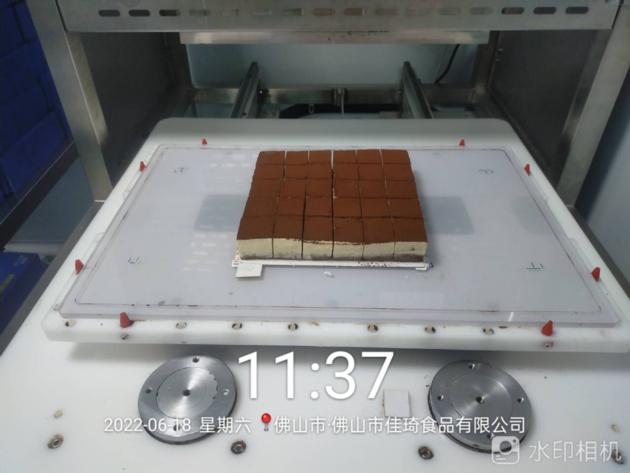 Industrial Ultrasound Cake Cutting Machine