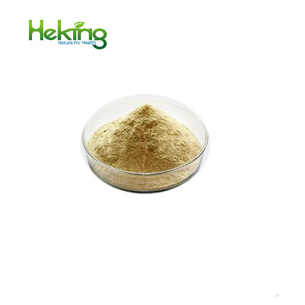 Wholesale bulk silymarin 80% milk thistle extract