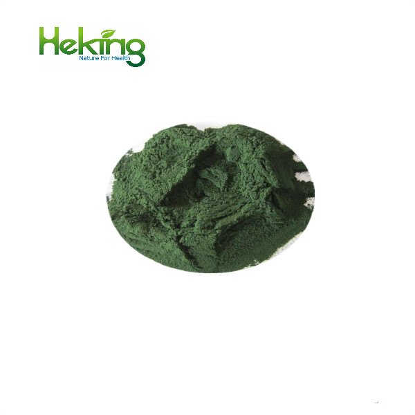 Spirulina powder for animals feed and food grade