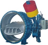 Butterfly Valve