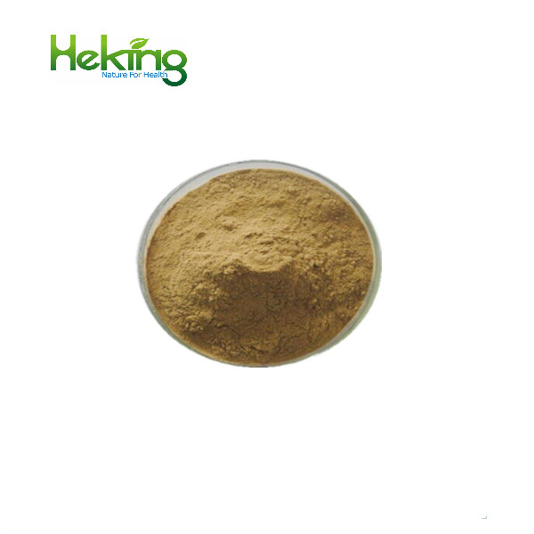 Reishi Mushroom Extract/ganoderma extract/pure natural ganoderma lucidum Extract