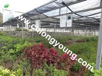 Netting House