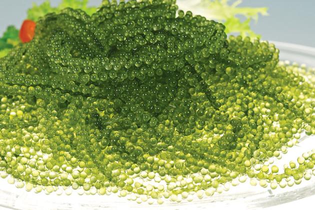 Seaweed Powder