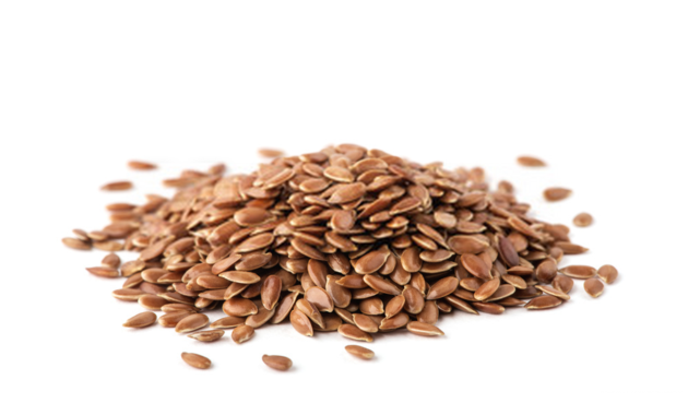 Flax Seeds