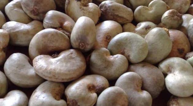 CASHEW NUT