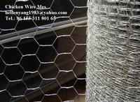 Chicken Wire Mesh