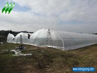 Multi-Span Greenhouse