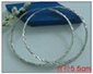 925 silver Earrings