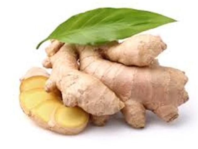 GINGER