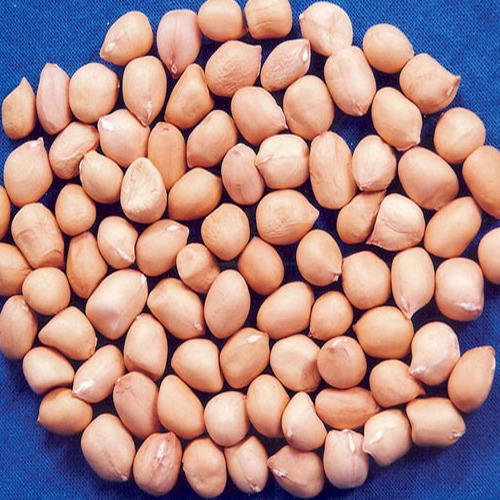 Almond Nuts Cashew Nuts Peanuts Brazil
