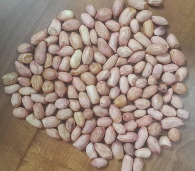 Cardamom Seed Cumin Seed Sesame Seed