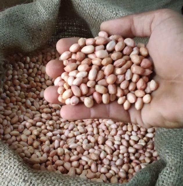 Almond Nuts Cashew Nuts Peanuts Brazil