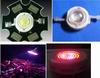 plant grow light 660nm LED,LED grow light,Led grow lamp,plant light,led greenhouse lamp,grow light