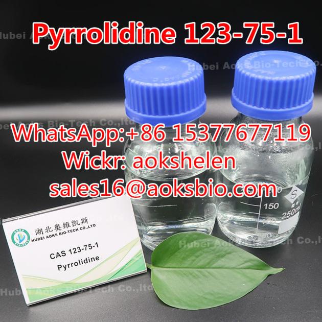 Direct Factory Supply High Purity Pyrrolidine with Best Price CAS 123-75-1