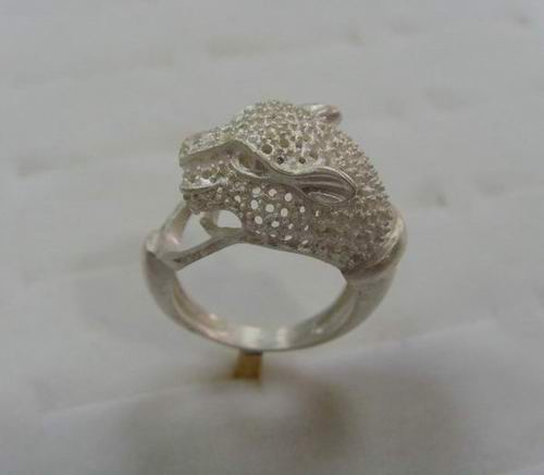 Sliver model of rings