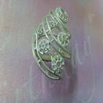 ring mould