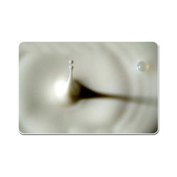 antifoam antifoam
