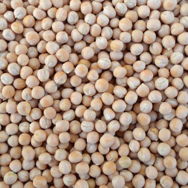 Whole yellow peas