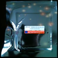 Human Interleukin 10,IL-10 ELISA Kit 