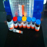Human Interleukin 35,IL-35 ELISA Kit 
