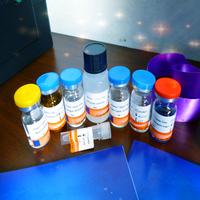 Human T cell growth factor Ⅲ,TCGF-Ⅲ ELISA Kit 