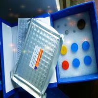 Human Interleukin 9,IL-9 ELISA KIT  