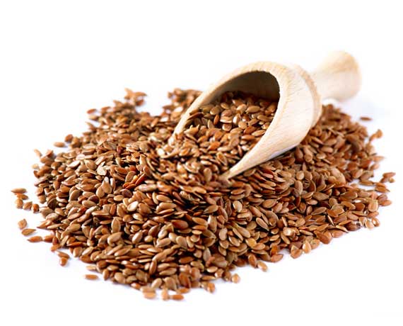 Flax Seeds