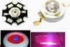 plant grow light 660nm LED,plant growth light lamp