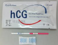 Urine Pregnancy Test Strip