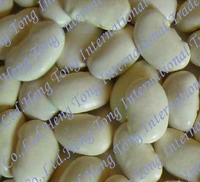 large white kidney bean