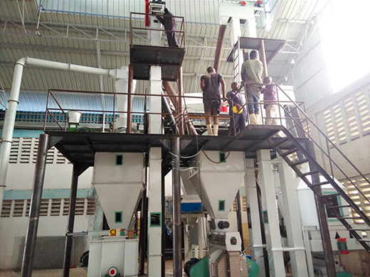 Livestock Feed Mill Plant