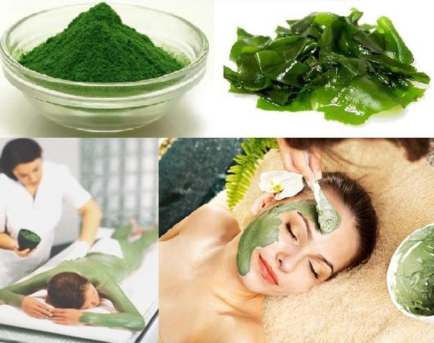  Seaweed Powder