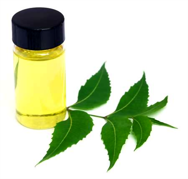 Neem Oil