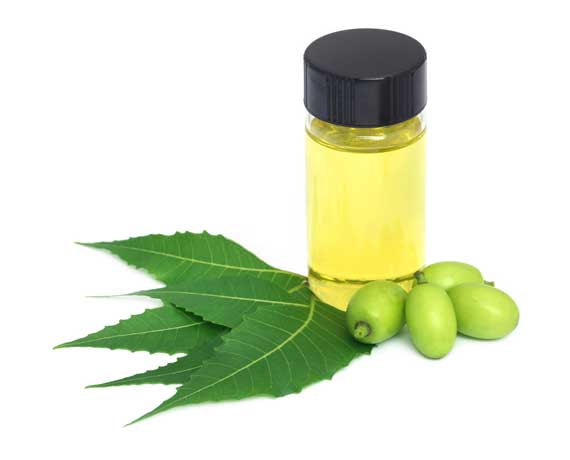 Neem Oil