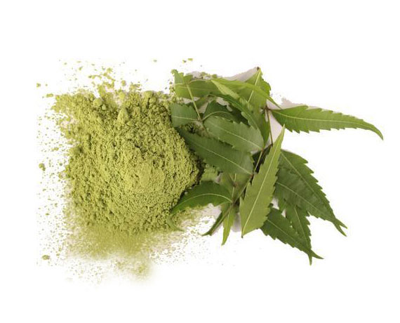 Neem Powder