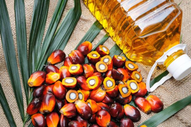 Refined Cooking Oil Sunflower Oil Corn