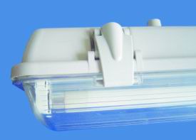 T5  three proof light