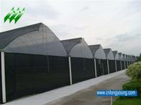 Saw Tooth Greenhouse