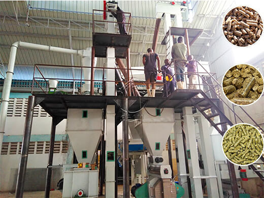 Ruminant Feed Mill Plant