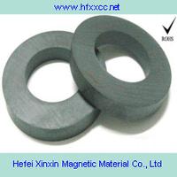 Ring ferrite magnet
