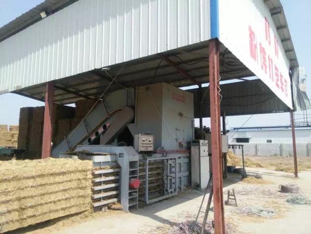 Hydraulic horizontal straw baler with conveyor