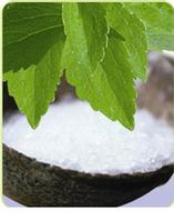 Stevia Powder