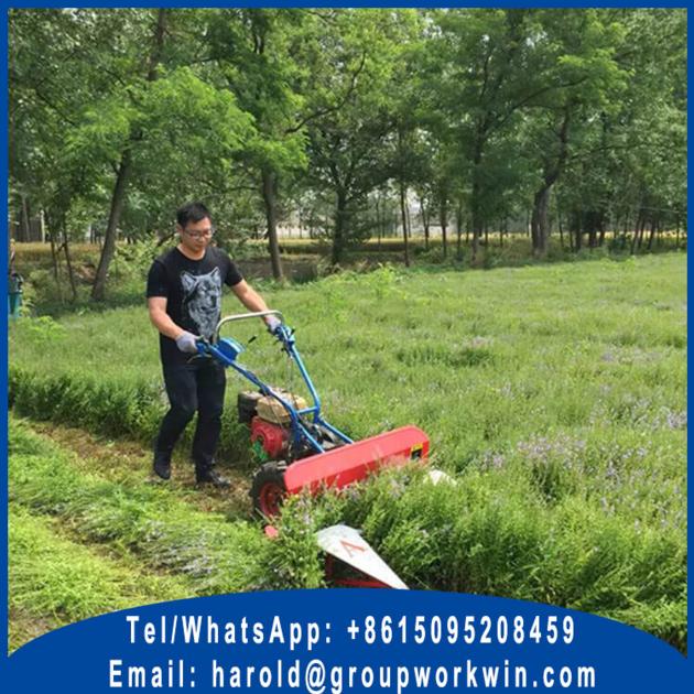Self Propelled Windrower