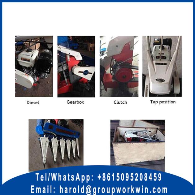 Self Propelled Windrower For Sale